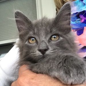 Meet your Posher, Karen